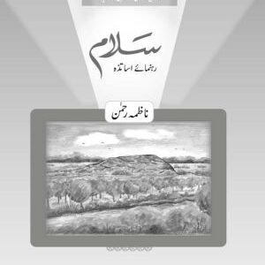 Salaam Islamiyat Teaching Guide 2